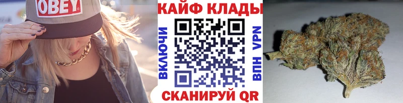 Магазины продажи наркотиков Дятьково Cocaine  Codein  MEGA как войти  ГАШИШ  Бошки Шишки  Меф 