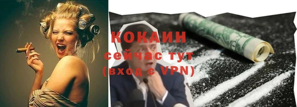 шишки Богородицк