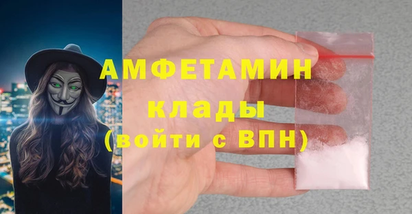 шишки Богородицк