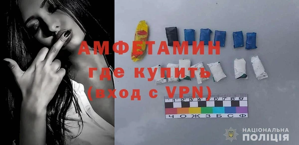 шишки Богородицк