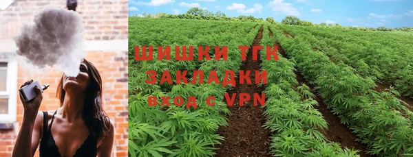 шишки Богородицк