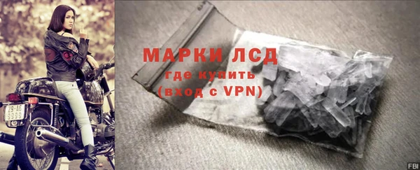 шишки Богородицк