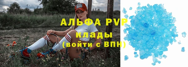 сатива Бронницы